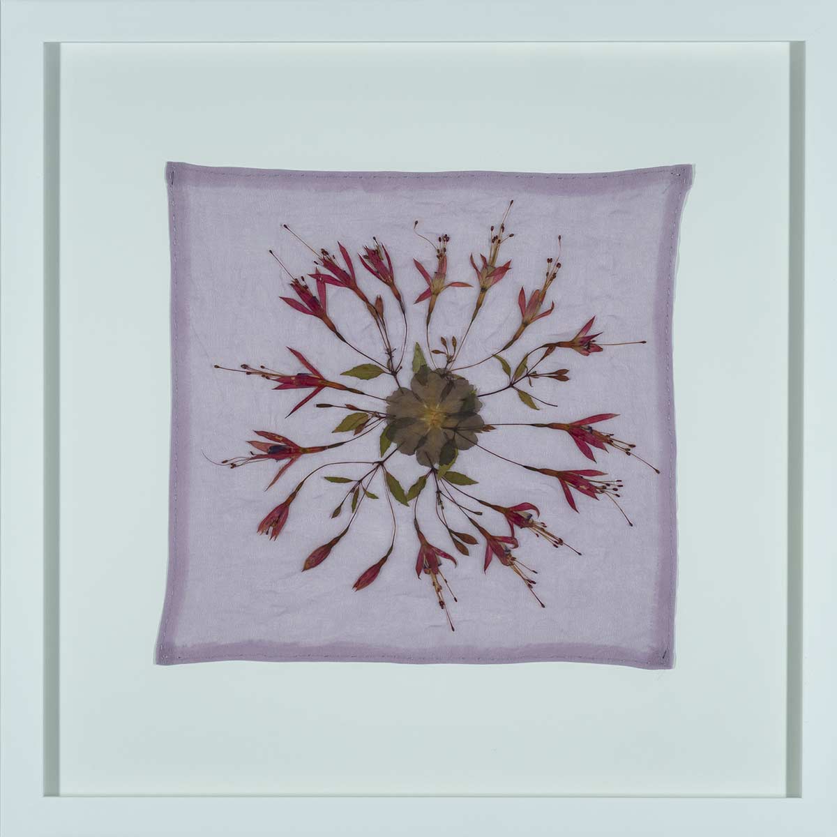 Jan Mullen white framed artwork