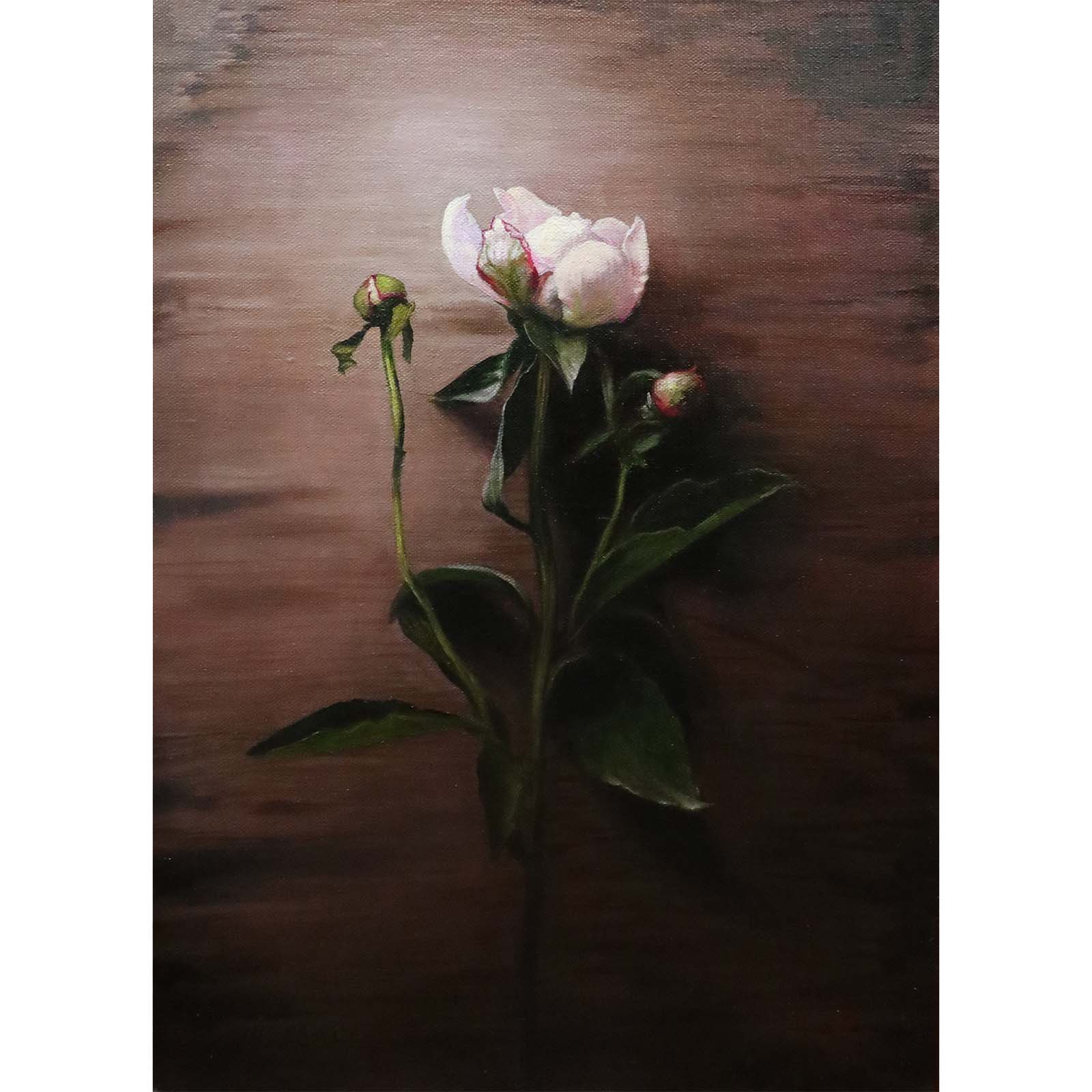 Sarah Pearn Oil on linen panel paintings