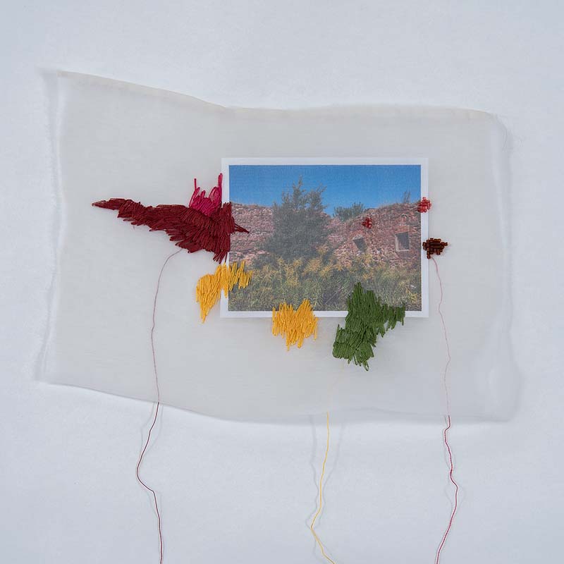 Elisa Markes-Young  Rewilding the  Past 